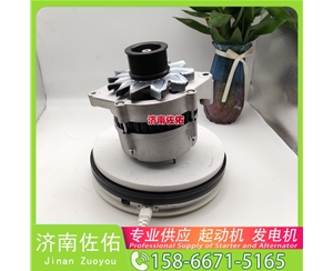 南京8980281980起动机2085090110发电机 约翰迪尔 544K 4045 柳工 潍柴WP6 重汽 豪瀚N7G WP10 东风商用车 天龙VL 神钢 SK200 J08E 解放虎VH 启动马达