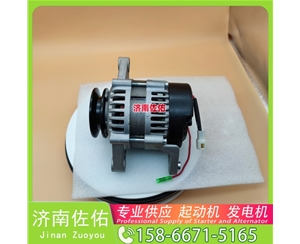 南京B220502000004起动机6008256110发电机 潍柴 WP13H 神钢｜SK260｜J08E 重汽 汕德卡C5H MC07 上柴 徐工挖机重卡矿车GR180 中国重汽 豪沃A7 启动马达
